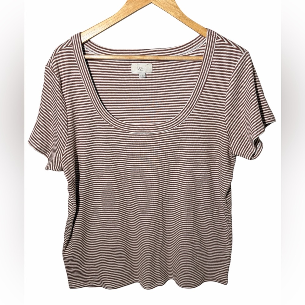 LOFT XL Brown Cream Striped Scoop Neck Tee Ribbed Stretch Short Sleeve Top